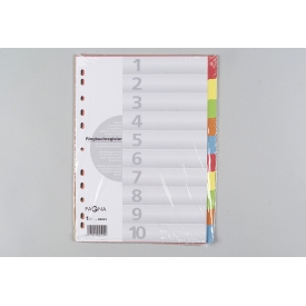 Pagna Register Karton A4 farbige Taben 10teilig