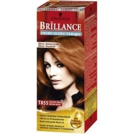 Schwarzkopf Brillance Creme-Glanz-Tönung Stufe 1, T855 Goldenes Braun