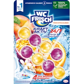 WC Frisch WC Stein Kraft Aktiv Früchtezauber 2x50g
