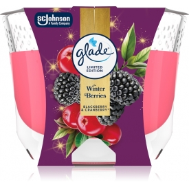 Glade by Brise Langanhaltende Duftkerze Winter Berries 204g