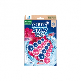 Blue Star WC Stein Kraft Aktiv Blütenfrische 4x50g