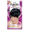 Poly Palette Haartönung Gloss Color Glanz Sachet 20 Blauschwarz Stufe 1