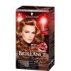Schwarzkopf Brillance Intensiv-Color-Creme 921 Kupferrot Stufe 3